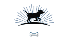 Your Animals First Logo